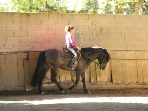 manège