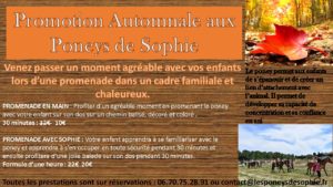Promotion automne