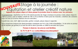 stage équitation saint aygulf