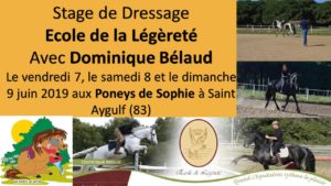 stage dominique bélaud juin