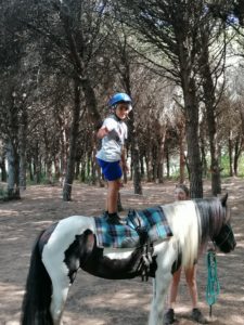 IMG_20210811_114912