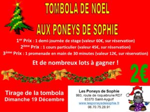 AFFICHE NOEL 2021