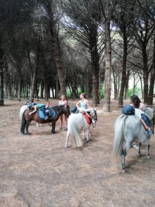 IMG_20210803_155023