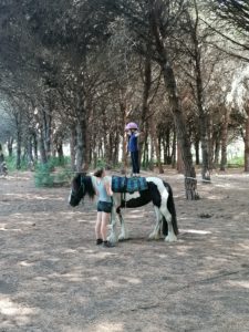 IMG_20210811_112454