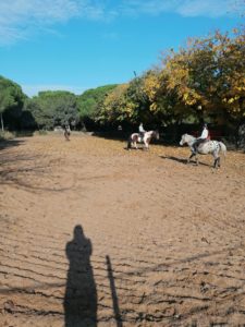 IMG_20211113_101608