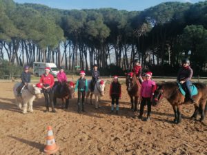 IMG_20211215_142024