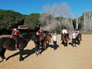 JEUX A CRU STAGE PONEYS DE SOPHIE