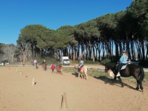 COURS PONEYS DE SOPHIE