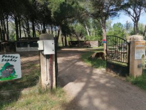 IMG_20220408_155301