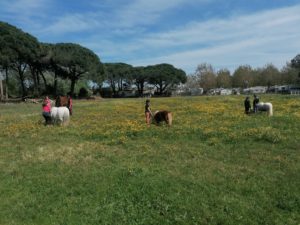 IMG_20220415_145558