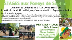 STAGE ETE 2023