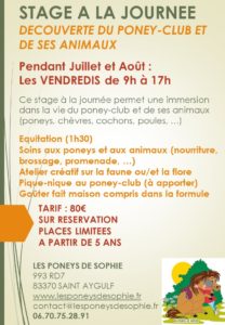 STAGE JOURNEE ETE 2023